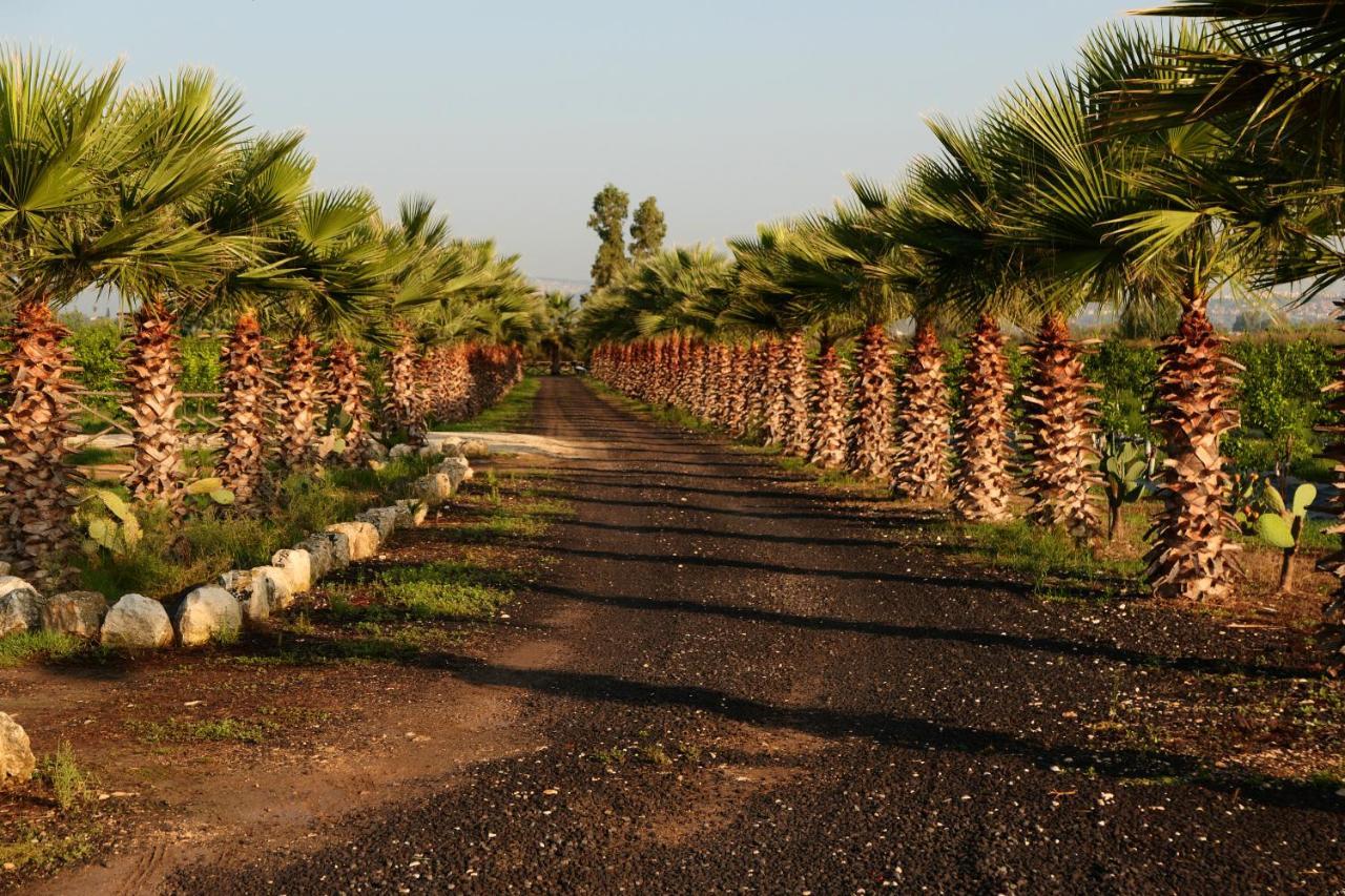 Agriturismo Papyrus Szirakúza Kültér fotó